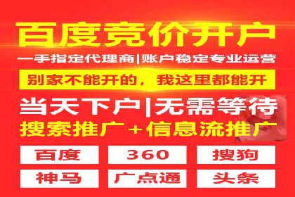 SEM竞价代运营公司成功案例：如何提升广告转化率